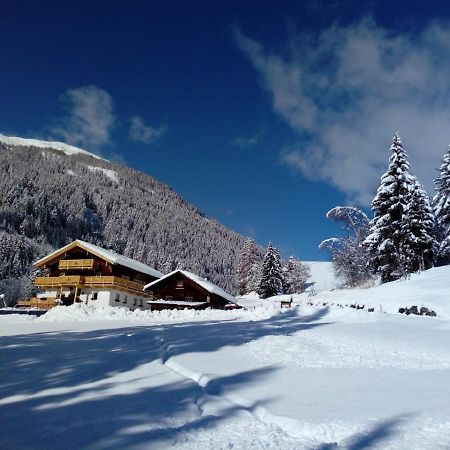 Bed & Breakfast Dolomiti Bey Haus Pinter Assling Ngoại thất bức ảnh
