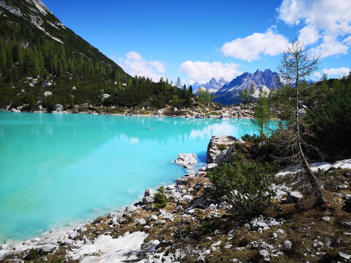 Bed & Breakfast Dolomiti Bey Haus Pinter Assling Ngoại thất bức ảnh