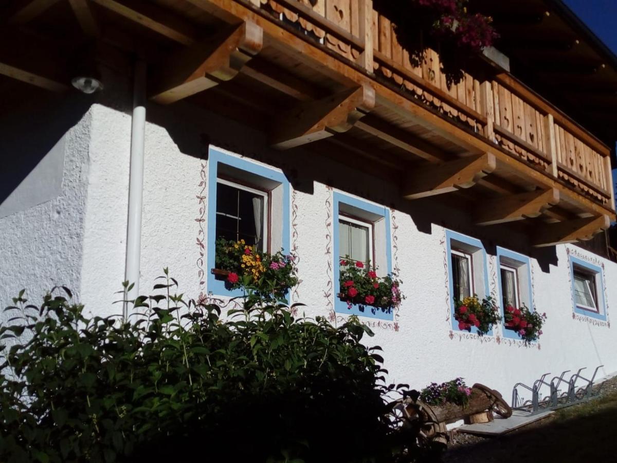 Bed & Breakfast Dolomiti Bey Haus Pinter Assling Ngoại thất bức ảnh