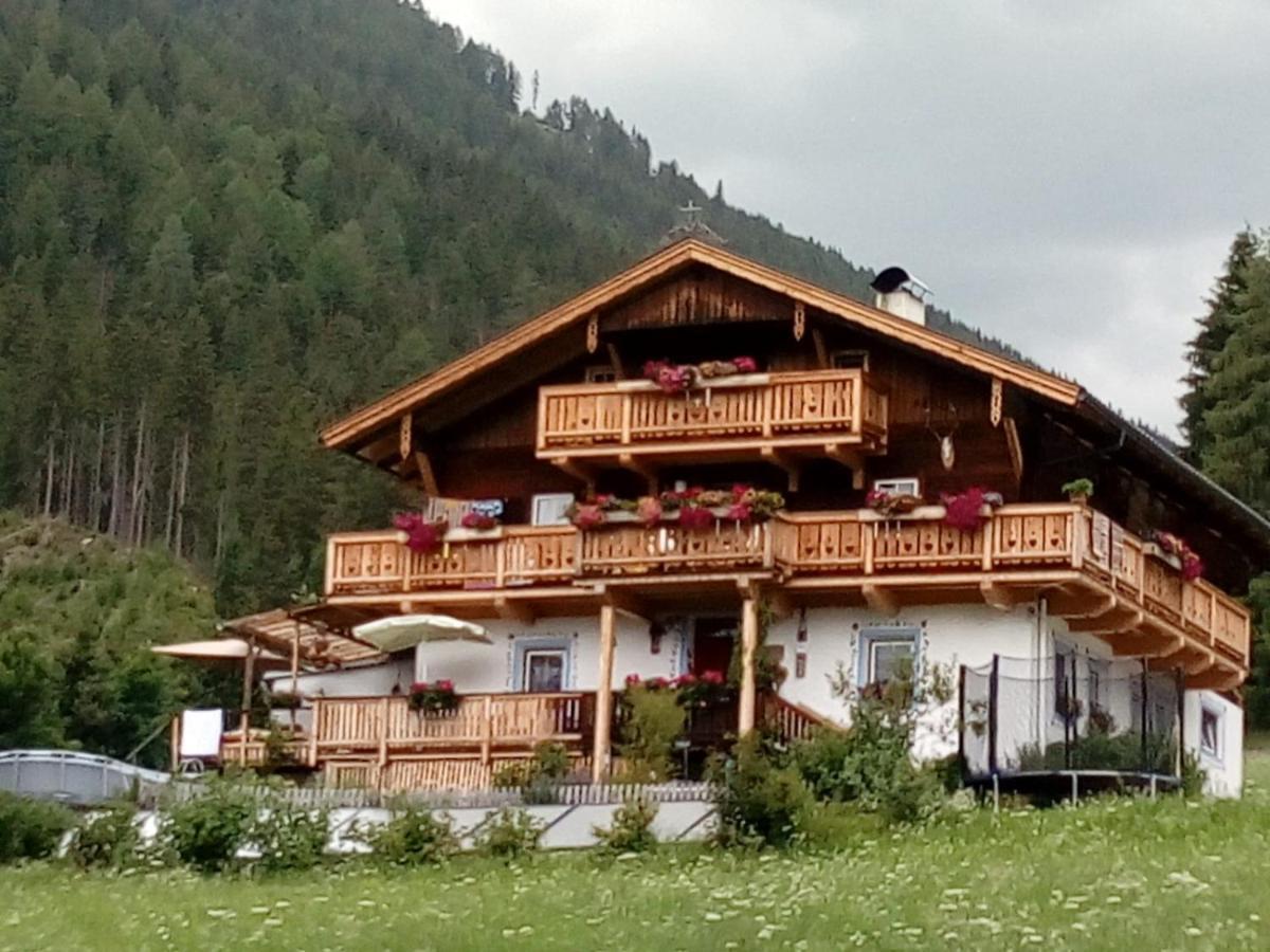 Bed & Breakfast Dolomiti Bey Haus Pinter Assling Ngoại thất bức ảnh