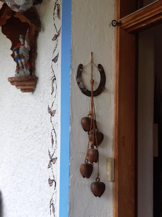Bed & Breakfast Dolomiti Bey Haus Pinter Assling Ngoại thất bức ảnh