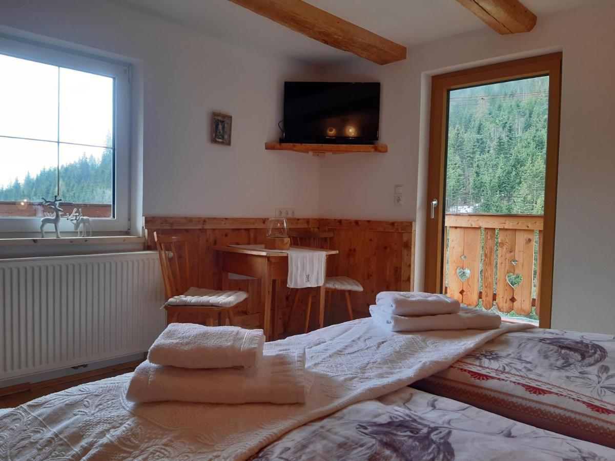 Bed & Breakfast Dolomiti Bey Haus Pinter Assling Ngoại thất bức ảnh
