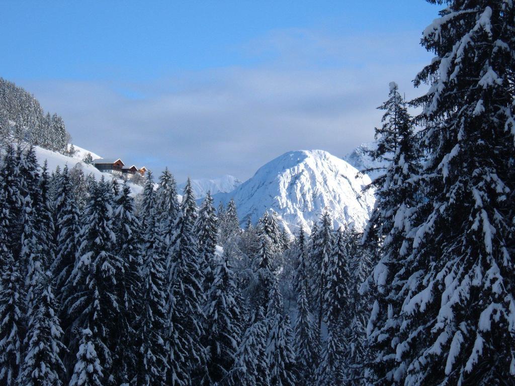 Bed & Breakfast Dolomiti Bey Haus Pinter Assling Ngoại thất bức ảnh