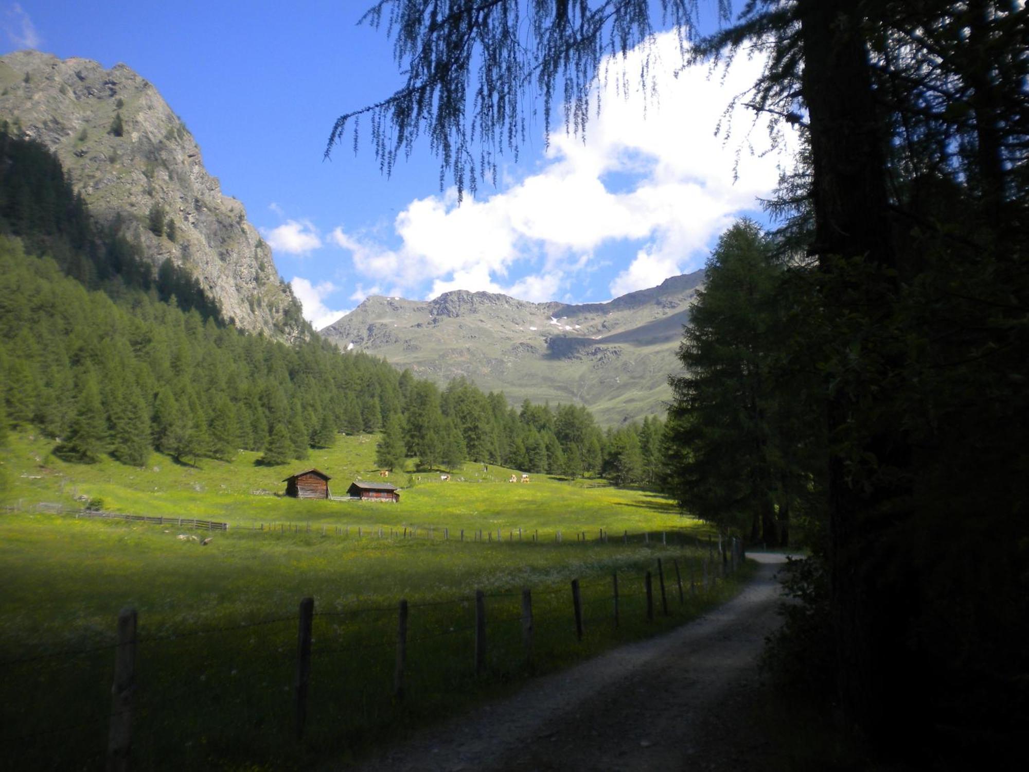 Bed & Breakfast Dolomiti Bey Haus Pinter Assling Ngoại thất bức ảnh