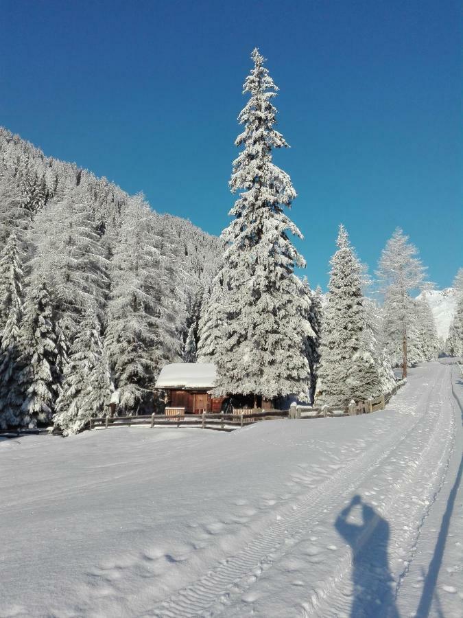 Bed & Breakfast Dolomiti Bey Haus Pinter Assling Ngoại thất bức ảnh